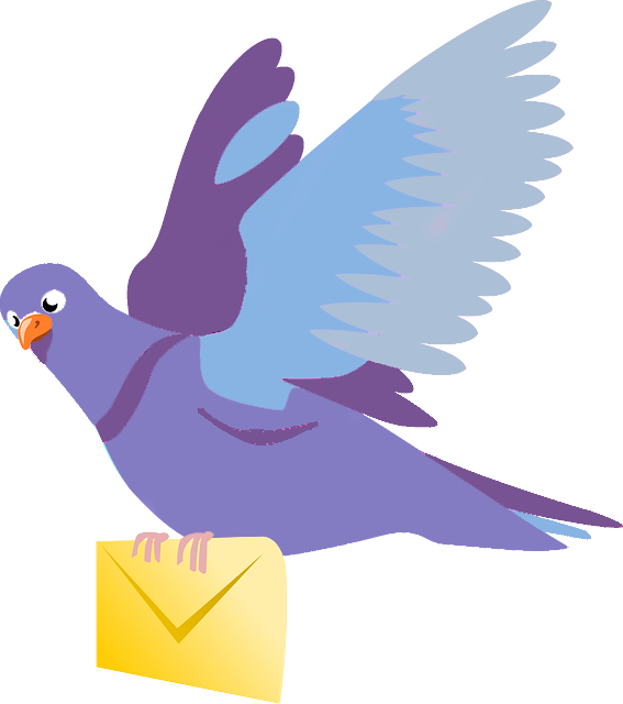 delivery pigeon